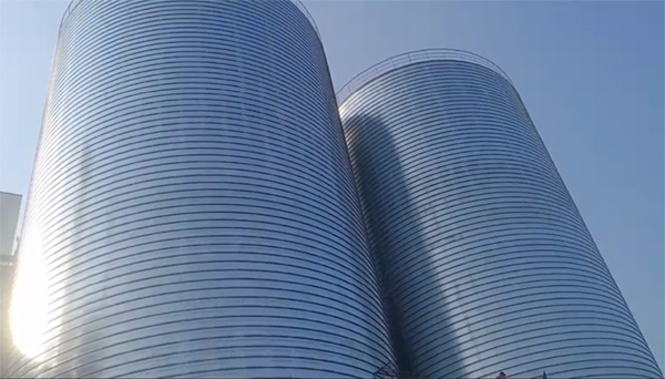 闵行2座混凝土高架卷板仓